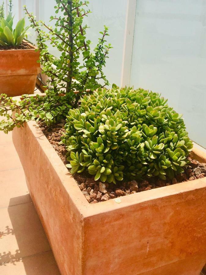 Penthouse La Paz 9 - Castle View Appartement Moraira Buitenkant foto